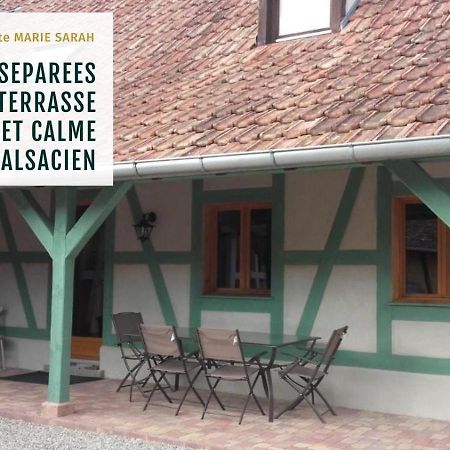 Gite Chez Marie-Sarah Petite Maison Calme Parking Ebersheim Exterior foto